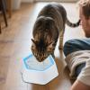 Spill-Proof Anti-Slip Water Bowl for Dogs and Cats view 2