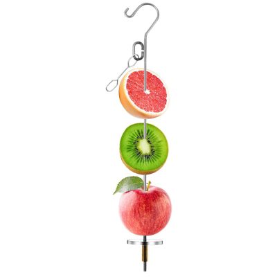 Stainless Steel Bird Fruit Holder Foraging Toy