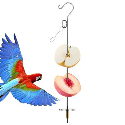 Stainless Steel Bird Fruit Holder for Foraging