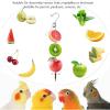 Stainless Steel Bird Fruit Holder for Foraging view 4