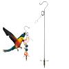 Misaakoeq Bird Feeder Holder | Stainless Steel Fruit Skewer for Parrots & Birds - Cage Decor Activity Toy for Budgerigars, Cockatiels & Lovebirds view 1