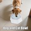 Dog Water Bowl for Puppies, Slow Feeder, Leakproof, Anti-Gulping, for Messy Drinkers view 2