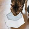 Dog Water Bowl for Puppies, Slow Feeder, Leakproof, Anti-Gulping, for Messy Drinkers view 3