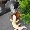 Reptile Feeder with Suction Cup view 4