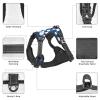 Personalized No-Pull Dog Harness with Name and Phone Number view 4