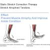 Electric Ankle Trainer for Rehabilitation with Adjustable Intensity view 3