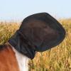 Adjustable Fit for Puppies | Dog Field Protection view 4