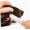 VERDANVERSE 10-Pack Nylon Finger Toothbrushes for Dogs and Cats, for Small Dogs view 3