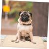 Pet Pee Pads, 2-Pack, Cotton, for Dogs view 4