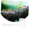 TOYANDONA Acrylic Ant Colony Water Feeder view 3