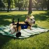 NXTFNRNX Foldable and Adjustable Two-Wheeled Pet Wheelchair for Large and Medium-Sized Dogs view 2