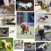 Adjustable Dog Wheelchair, XS Size, for Pets with Disabled Hind Legs view 3