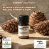 rooted. Organic Swiss Stone Pine Essential Oil 10 ml [100% Pure] - Pinus cembra view 2