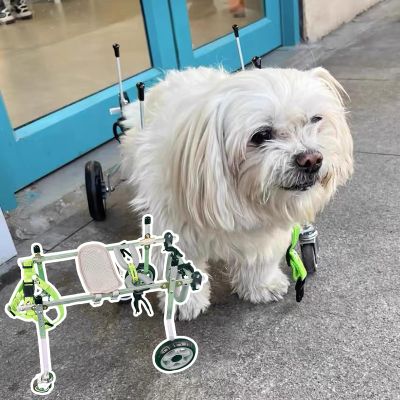 NXTFNRNX 4-Wheel Wheelchair for Large Dogs, Adjustable Full-Support Brace with Hip and Joint Support
