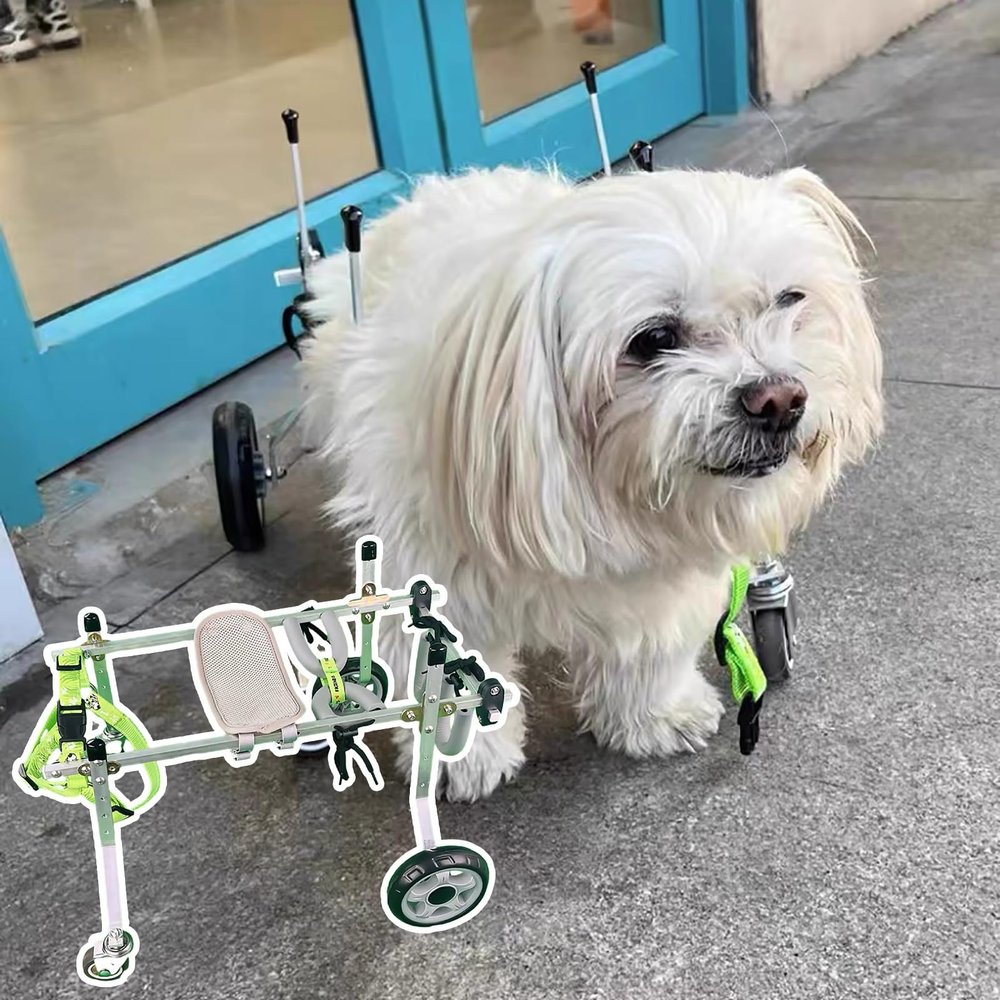 NXTFNRNX 4-Wheel Wheelchair for Large Dogs, Adjustable Full-Support Brace with Hip and Joint Support