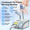ZenSeFarin Cryolipolysis Fat-Freezing Machine with 3 Handles view 2