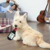 Stuffed Dog Chew Toy - Squeaky Plush Beer Toy view 3