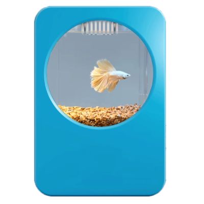 RONGSHEN Small Desktop Aquarium, Self-Cleaning Ecological Fish Tank with USB, Removable Design