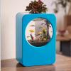 RONGSHEN Small Desktop Aquarium, Self-Cleaning Ecological Fish Tank with USB, Removable Design view 4