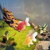 Fake Goldfish - Floating Aquarium Model view 3