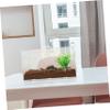 VILLFUL Reptile Terrarium view 2