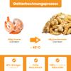 KAUDAS GarnelePur Freeze-Dried Shrimp Dog Treats, 2 x 50 g view 4