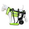 Weyot Dog Wheelchair for Hind Legs, Green, XS view 1