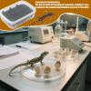 Reptile Incubator and Breeding Box view 3