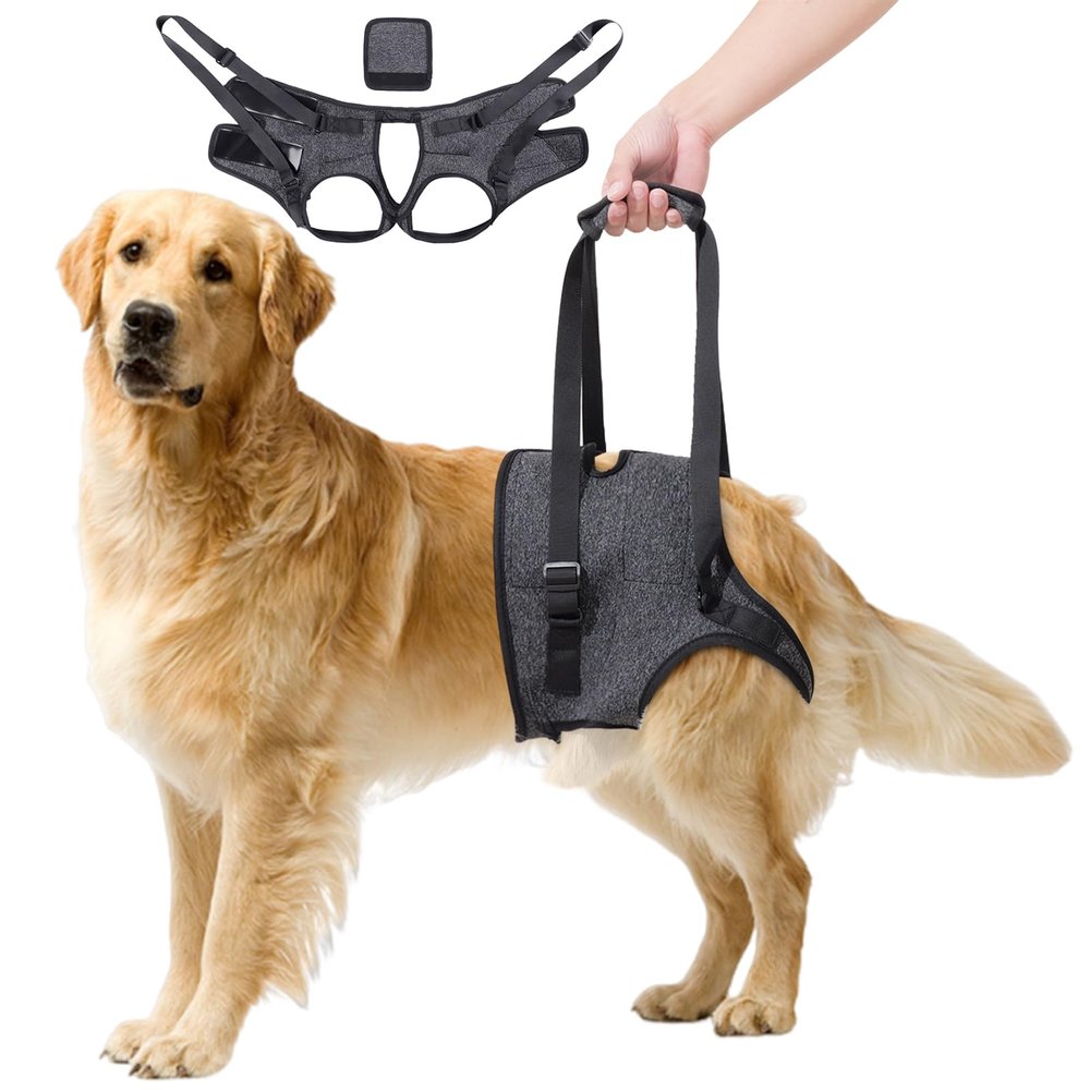 Dog Lifting Harness, Support Harness for Back and Legs, Adjustable Aid for Injured, Disabled, and Older Dogs, Size M