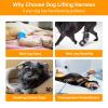 Dog Lifting Harness, Support Harness for Back and Legs, Adjustable Aid for Injured, Disabled, and Older Dogs, Size M view 3