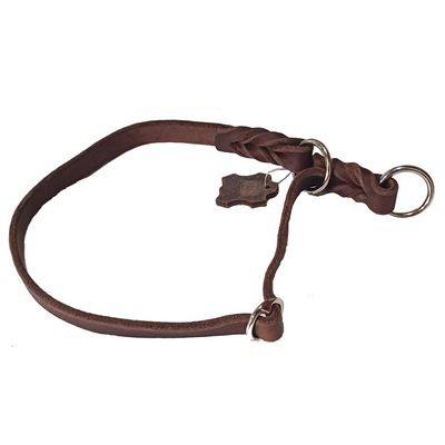 Activity4Dogs Genuine Braided Leather Martingale Collar for Medium Dogs - L (Neck Circumference up to 55 cm)