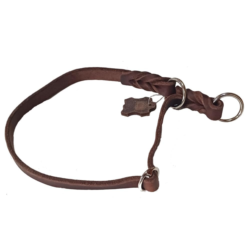 Activity4Dogs Genuine Braided Leather Martingale Collar for Medium Dogs - L (Neck Circumference up to 55 cm)