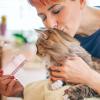 Steam Brush for Cat and Dog Care view 4