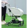 3-in-1 Foldable Pet Stroller with Removable Carrier and Sunshade, Waterproof, for All Terrains view 2