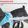 Adjustable Dog Wheelchair for Rear Legs, 2-Wheel Mobility Aid, Size M view 2