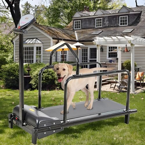 Pet Treadmill with Adjustable Speed and Safety Fence for Small to Medium Dogs, Supports up to 90