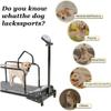 Pet Treadmill with Adjustable Speed and Safety Fence for Small to Medium Dogs, Supports up to 90 view 4