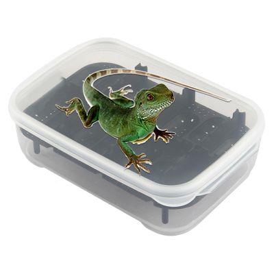 Reptile Terrarium Habitat