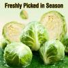 Natural Freeze-Dried Brussels Sprout Treats for Pets, 79 g view 2