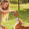 Two-Color Oval Dog Training Clicker view 2