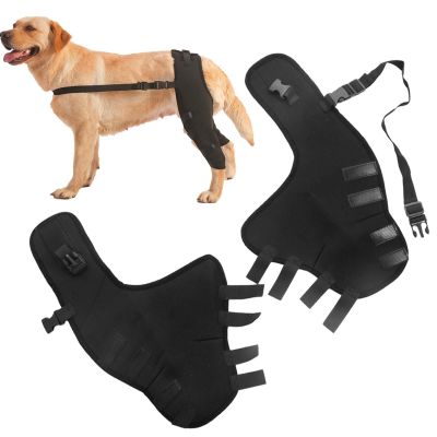 Dog Leg Bandage - Veterinary Support for Hind Legs