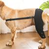 Dog Leg Bandage - Veterinary Support for Hind Legs view 2