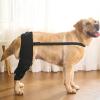 Dog Leg Bandage - Veterinary Support for Hind Legs view 3