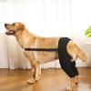 Dog Leg Bandage - Veterinary Support for Hind Legs view 4