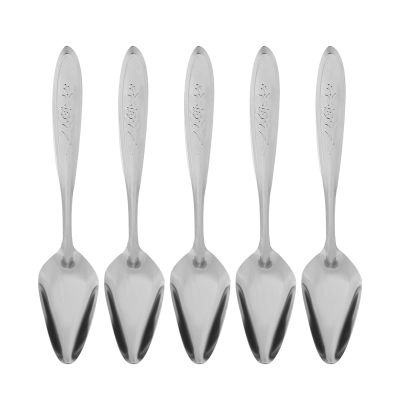 Fuchooky 5pcs Stainless Steel Parrot Feeding Spoons