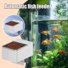Automatic Fish Feeder for Aquariums and Fish Tanks view 2