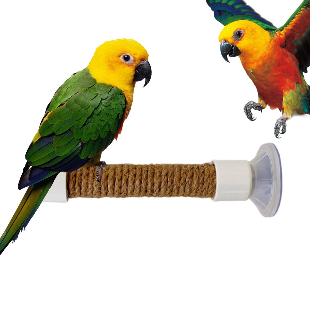 Gnrique Suction Cup Bird Perch