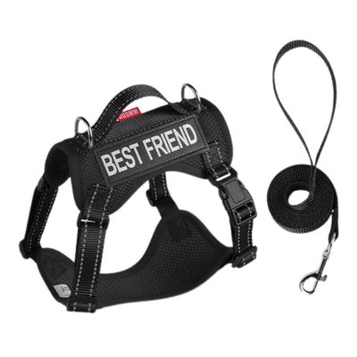 Cat Harness, Anti-Escape, Adjustable Soft Mesh with Reflective Strip