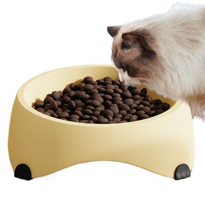 Anti-Vomiting Cat Dish