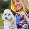 Pet Hair Vacuum Attachment - Dog & Cat Grooming Brush view 4